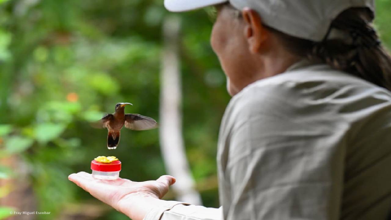Parque Nacional del Manu 5 Días Tour Fotográfico de Fauna